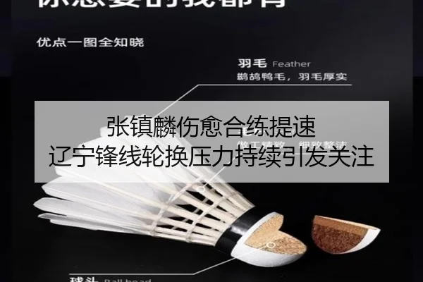 张镇麟伤愈合练提速 辽宁锋线轮换压力持续引发关注